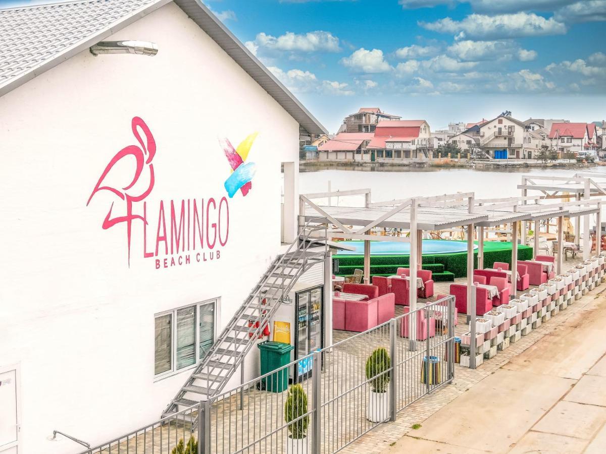 Flamingo Family Club